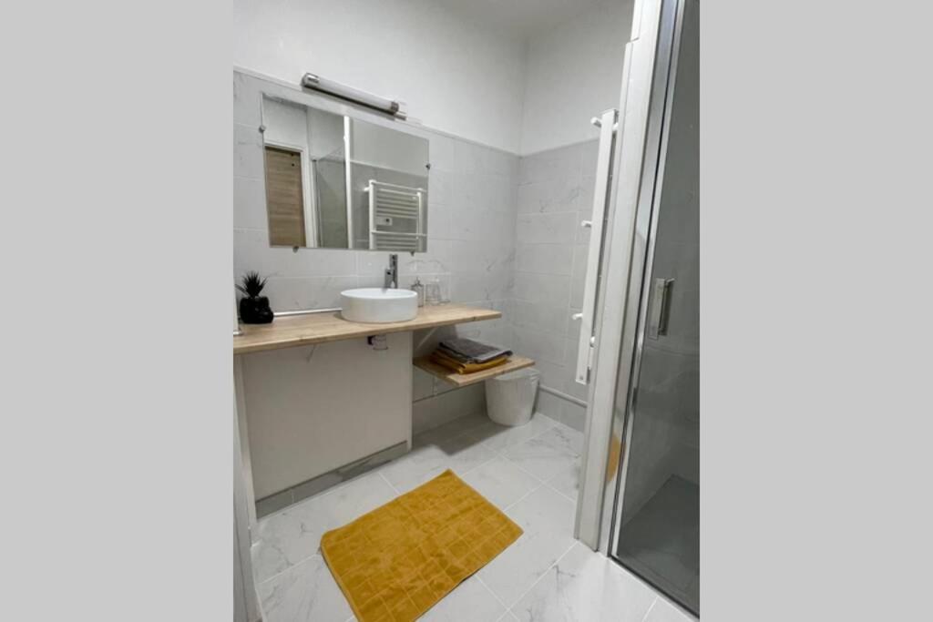 Petit Appartement Cosy A Troyes Buitenkant foto